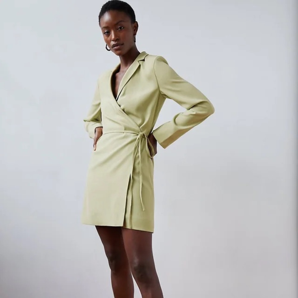 Aritzia Babaton Raine dress